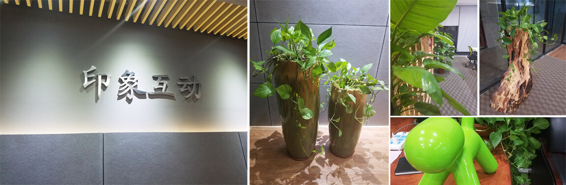 佛山網絡公司實景